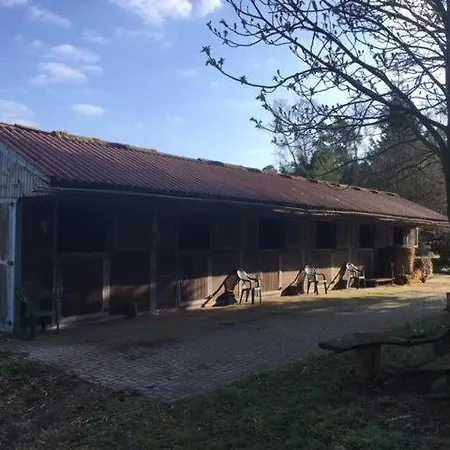 Konukevi Hof Lunz *